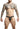 Dngeon Chain Jockstrap New Colors
