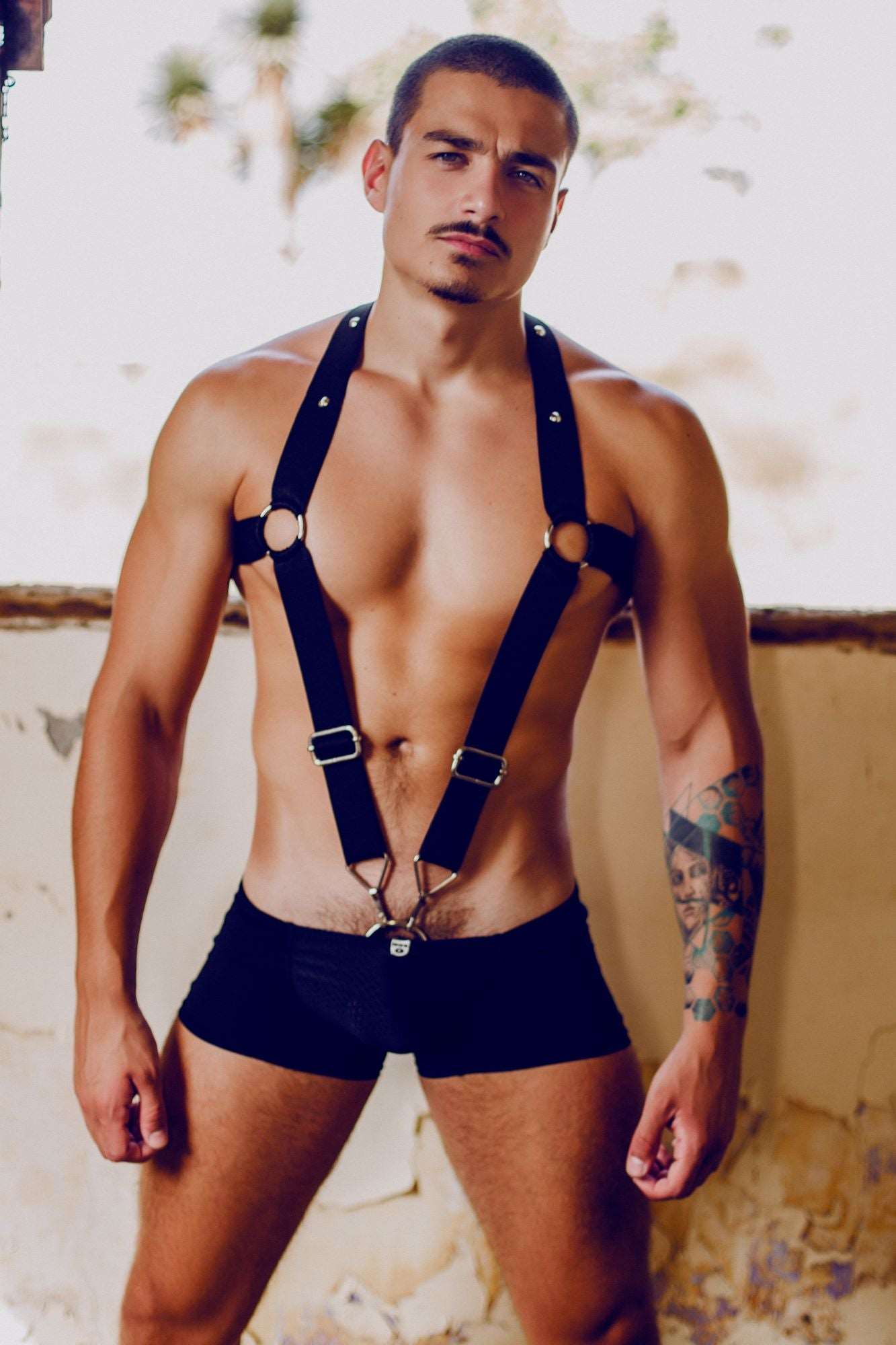 Dngeon Straigh Back Harness