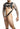 Dngeon Croptop Cockring Harness