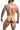 DNGEON CLASSIC BELT HARNESS -Mirror-