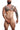 DNGEON CLASSIC BELT HARNESS -Animal-