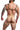 DNGEON CLASSIC BELT HARNESS -Animal-