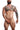 DNGEON CLASSIC BELT HARNESS Animal
